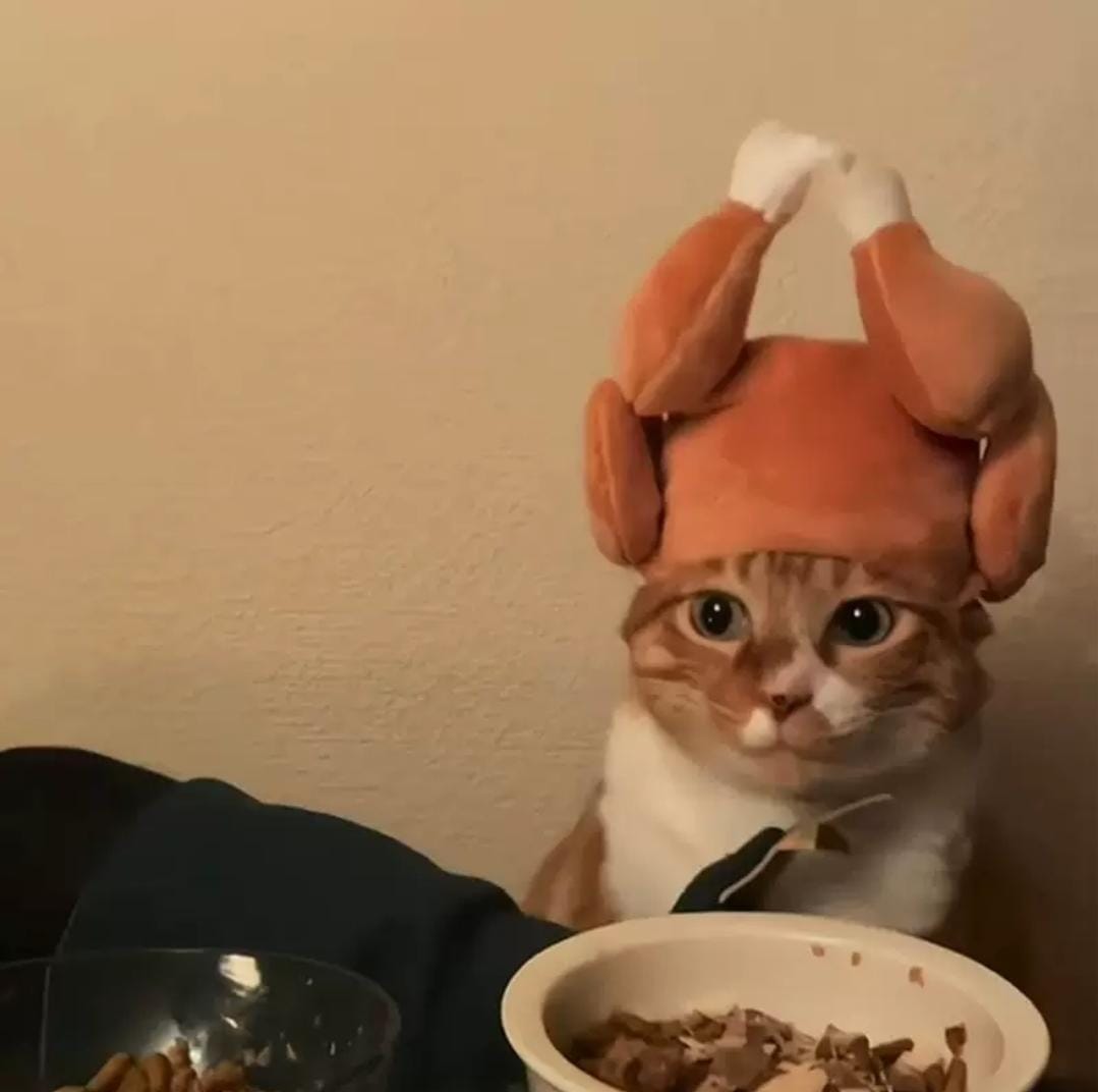 Chicken Kitten Hat